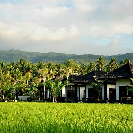 Pandawa Village Lovina  Exterior photo