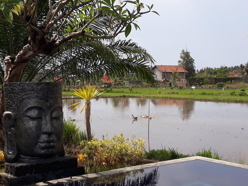 Pandawa Village Lovina  Exterior photo