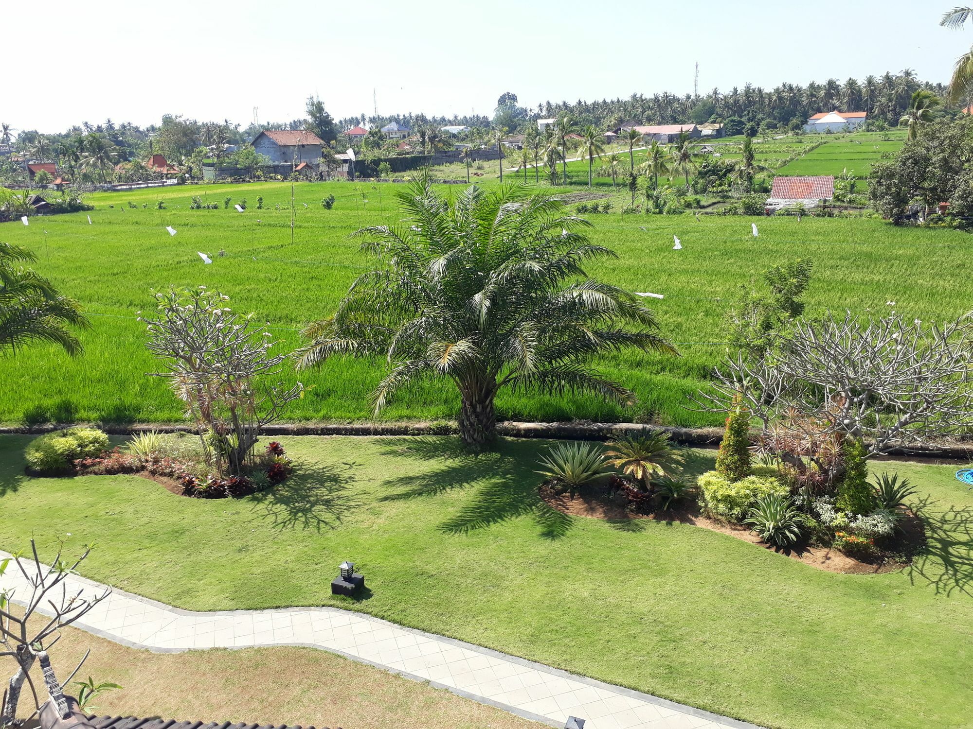 Pandawa Village Lovina  Exterior photo