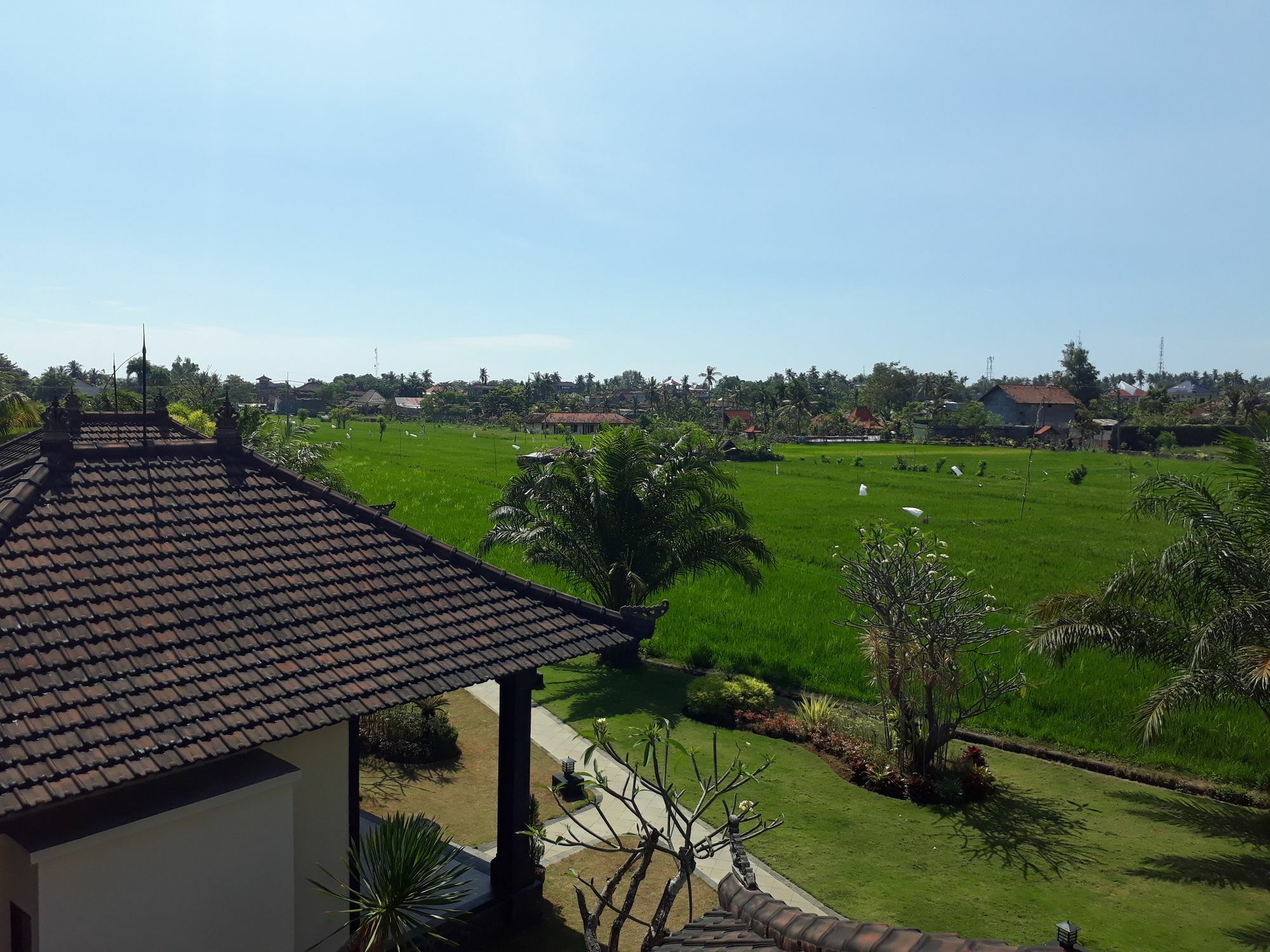 Pandawa Village Lovina  Exterior photo