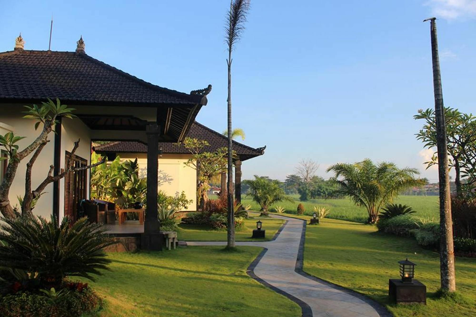 Pandawa Village Lovina  Exterior photo