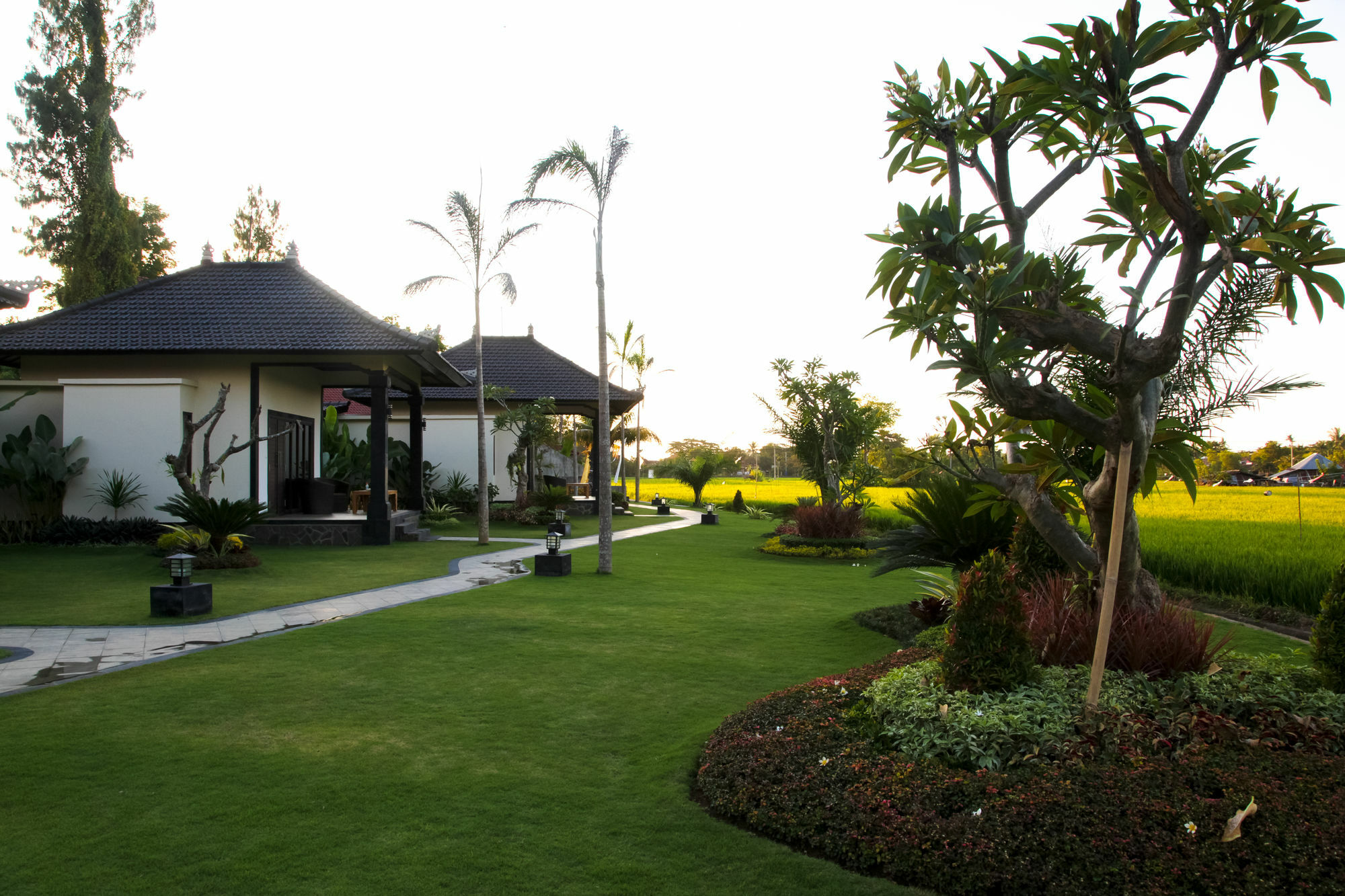 Pandawa Village Lovina  Exterior photo