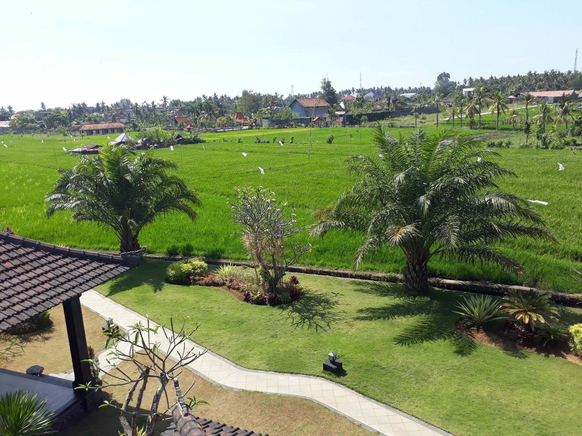 Pandawa Village Lovina  Exterior photo