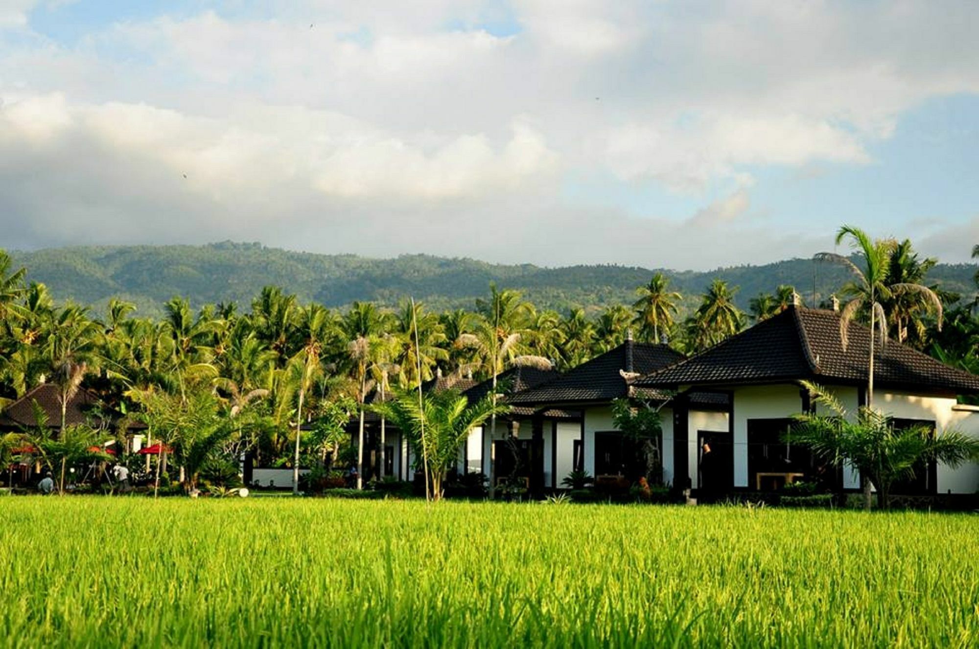 Pandawa Village Lovina  Exterior photo