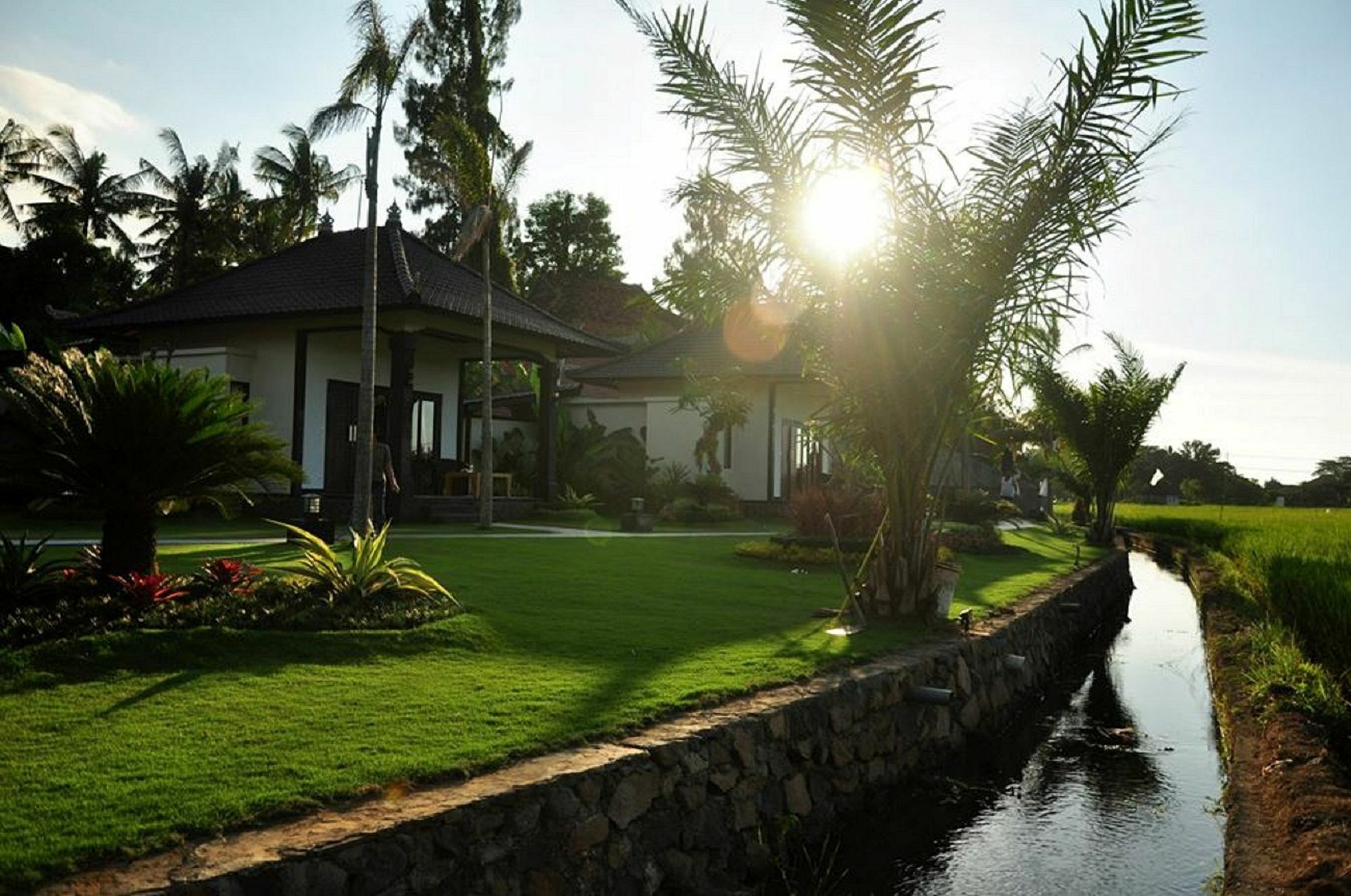 Pandawa Village Lovina  Exterior photo