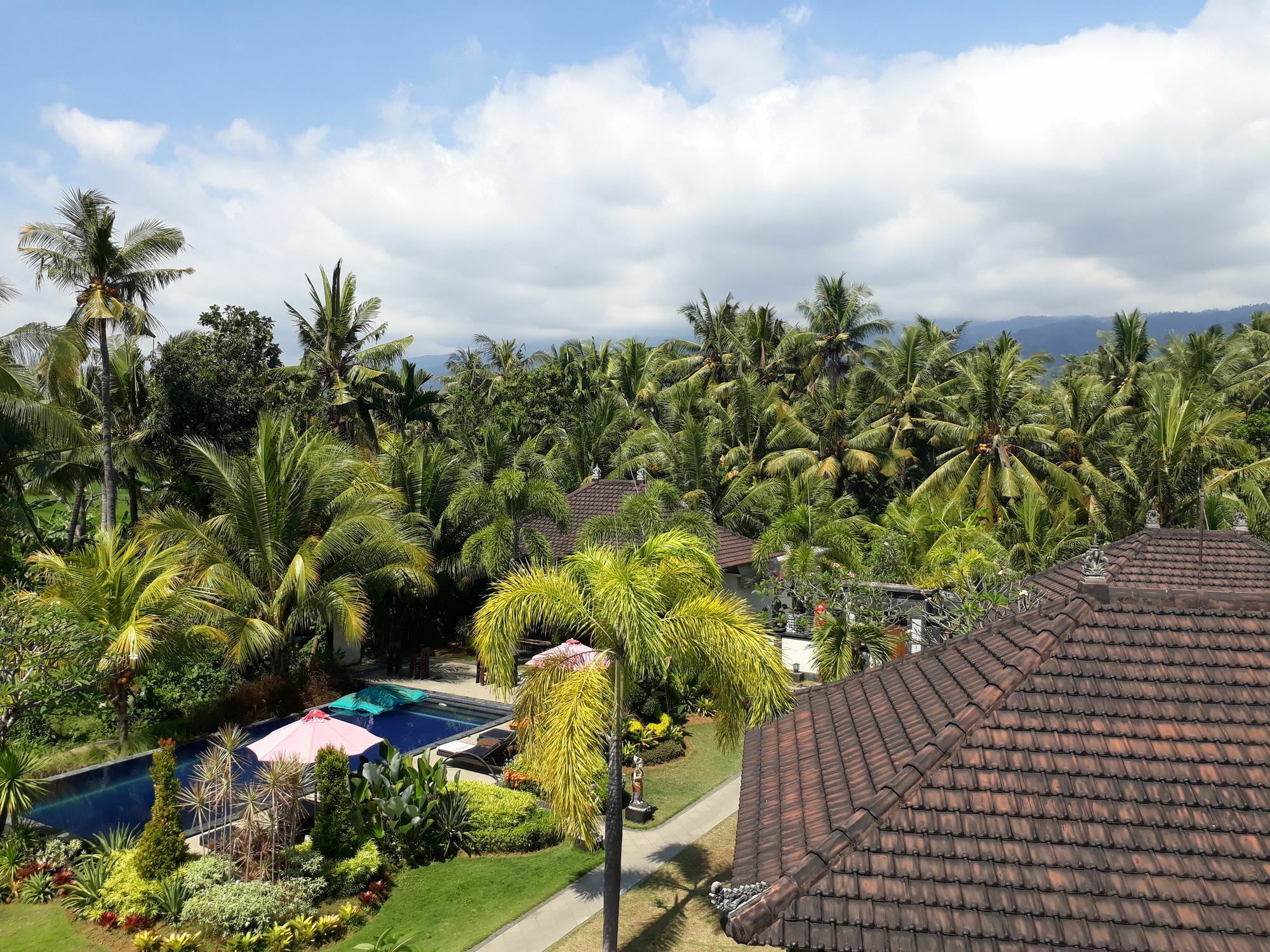 Pandawa Village Lovina  Exterior photo