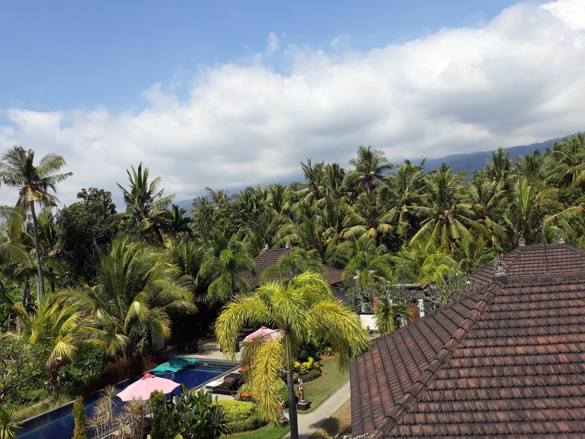 Pandawa Village Lovina  Exterior photo