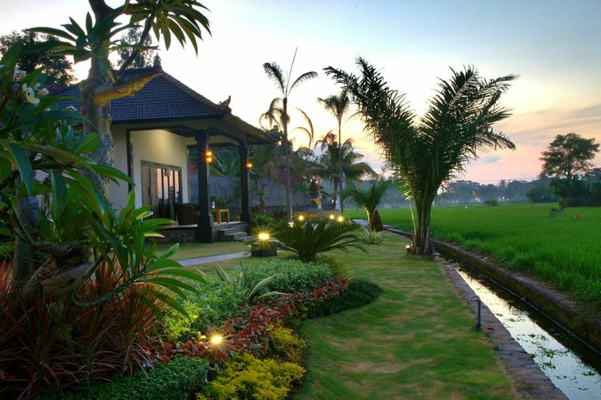 Pandawa Village Lovina  Exterior photo