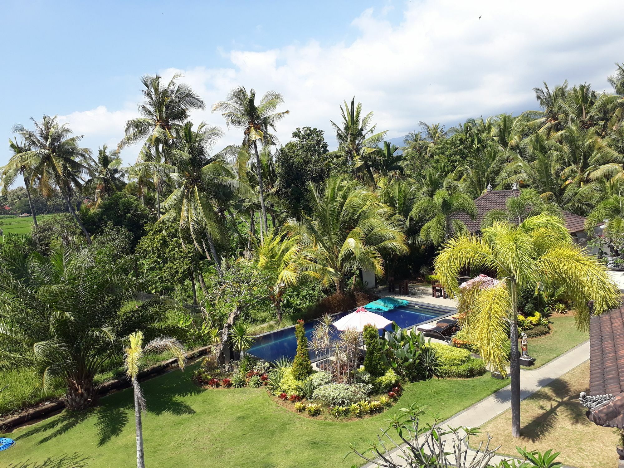 Pandawa Village Lovina  Exterior photo